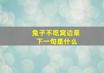 兔子不吃窝边草 下一句是什么